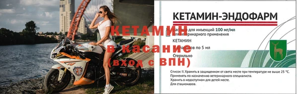 дмт Инта