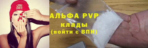 мяу мяу кристалл Иннополис