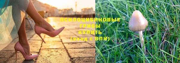 наркотики Каменногорск