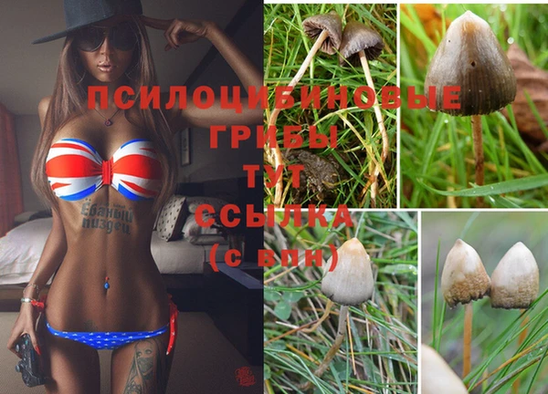 прущие крисы Каменск-Шахтинский